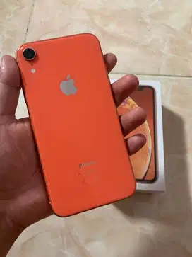 Iphone XR 64GB Coral