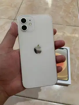 Iphone 12 64GB White