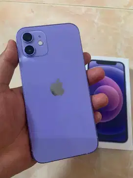 Iphone 12 128GB Purple