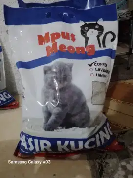 Pasir kucing peliharaan