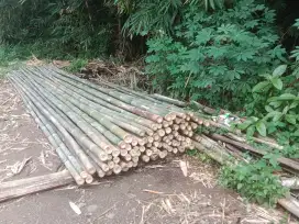 Jual bermacam ukuran bambu