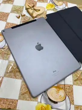 Ipad pro 12.9 inch 2015 only wifi