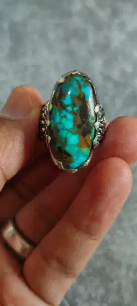 Pirus Persia urat emas