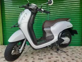 Honda scoopy prestige tahun 2024