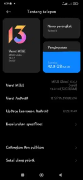 Redmi 9 lengkap