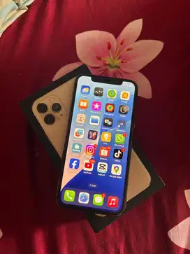 Iphone 11 pro gold