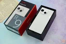 Japan android Sharp R9