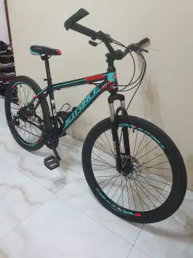 Sepeda mtb ring 26