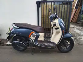 Scoopy new 2021 lengkap pajak hidup