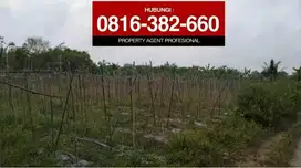 Dijual tanah 1000m2 dekat Tahu Sumedang di Lembak Muara Enim