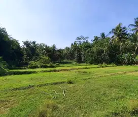 Tanah Dekat RS Nyi Ageng Serang Wates