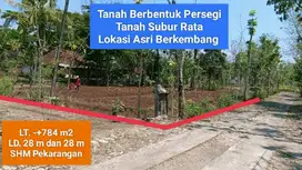 Dijual tanah murah di Kawasan wisata Goa Pindul Karangmojo Gunungkidul