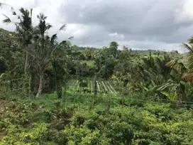 Dijual Tanah di Desa Payangan, Ubud, Gianyar