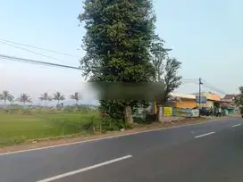 Tanah Sawah Pinggir Jalan Raya Cibeber Masih Nego SHM Daerah Ramai