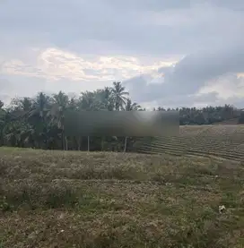 Tanah full view terasering sawah di selemadeg, akses jalan 3 meter