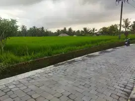 Tanah strategis Tegalalang Gianyar Bali