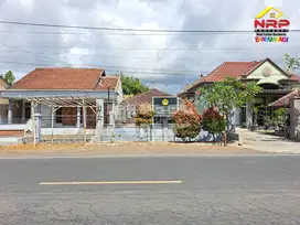 Dijual Tanah Bonus Bangunan Rumah Tepi Jl. Srono - Muncar Banyuwangi