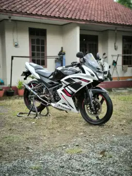 Kawasaki ninja rr new