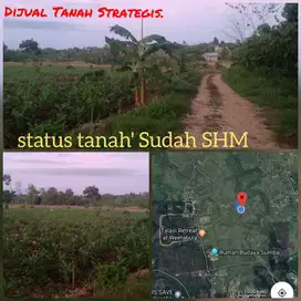 Dijual lahan  tanah dekat obyek wisata Rumah Budaya Sumba, Tambolaka