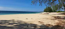 Dijual murah Tanah Loss Pantai Lenang Sumba Tengah