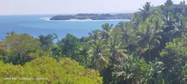 Dijual Murah Tanah Ocean View/Pemandangan Pantai Nihiwatu Sumba Barat