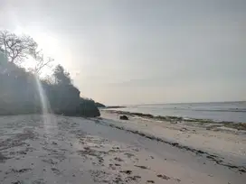 Dijual Murah Tanah Loss Pantai Kita Mananga Sumba Barat Daya