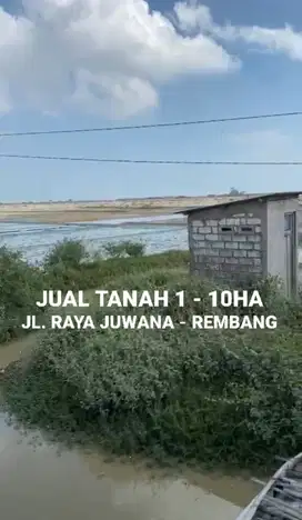 JUAL TANAH 1 - 10 HA JL. RAYA JUAWANA - REMBANG PANTURA