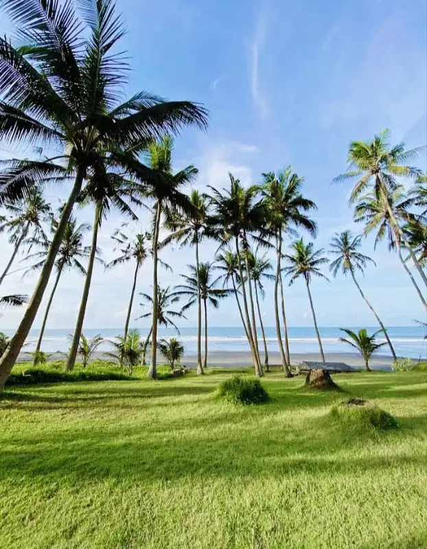 TANAH LOS PANTAI PASUT TABANAN