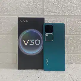 Vivo V30 5G 8/256