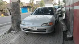 Honda civic genio