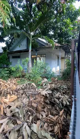 Rumah Hitung Tanah Dalam Komplek di Cipete Luas 300m2