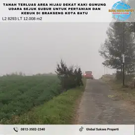 TANAH SAWAH SUBUR SETRATEGIS HARGA BAGUS DI BUMIAJI KOTA BATU.