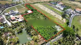 tanah view sawah di jalan raya kaba kaba akses jalan 8 meter