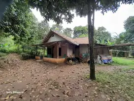 Tanah kebun ples rumah