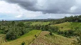 jual tanah luas kecil view sawah cantik di tabanan bali.