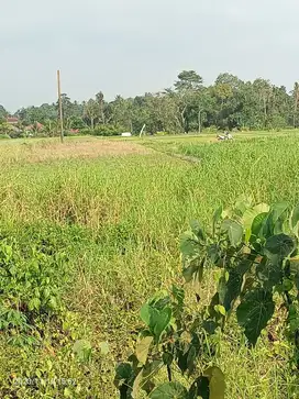 Tanah view sawah dekat Exit Toll Tabanan Bali