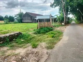 Dijual sawah lt 1675m ld 31m deket jalan raya