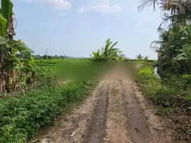 Tanah view terasering sawah di jalan pantai pasut akses jalan 5 meter