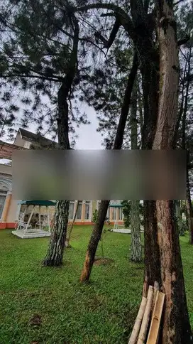 Dijual Villa kota bunga cipanas puncak bogor