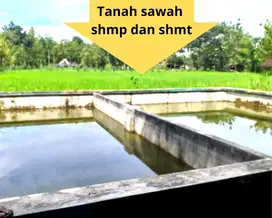 TANAH SHMP VIEW CANTIK SAWAH SUBUR ADA KOLAM  SHM