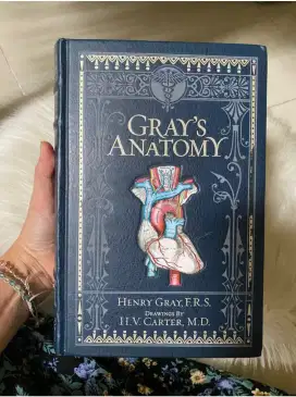 Gray's Anatomy ( Barners Noble  Collectible Editions