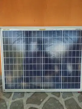 Panel Surya 50WP