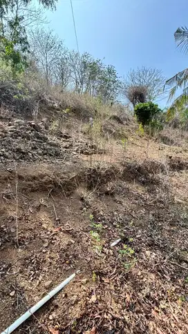 Dijual: Tanah Bersertifikat dan Sporadik! Di GILI Gede