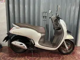 Honda scoopy kyles 2024