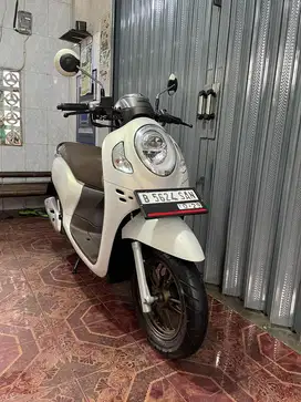 Honda scoopy kyles 2024