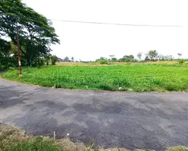 Kavling di Jl. Rejodani Ngaglik Dekat Monumen Jogja Kembali