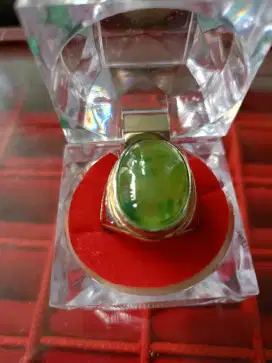 Batu Indro case lumut aceh
