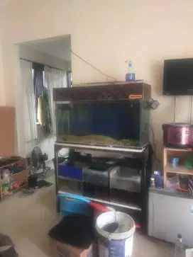 Aquarium + Rak ukuran 120x60x40 tebal kaca 1 cm