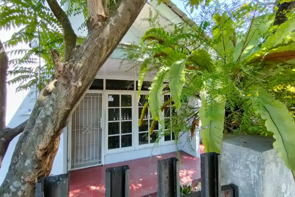 DIJUAL Rumah asri di pinggir jalan utama