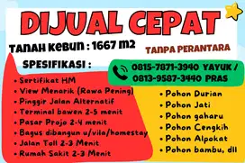 Dijual Cepat Tanah kebun (semua / boleh sebagian saja)